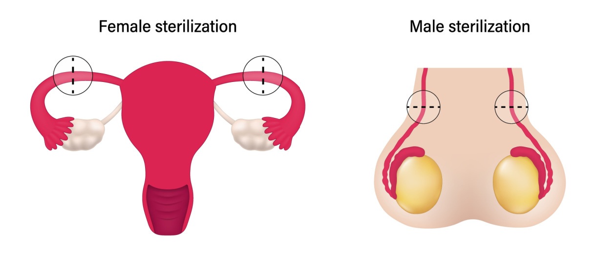 navigating through the truths of safe sex and birth control 4
