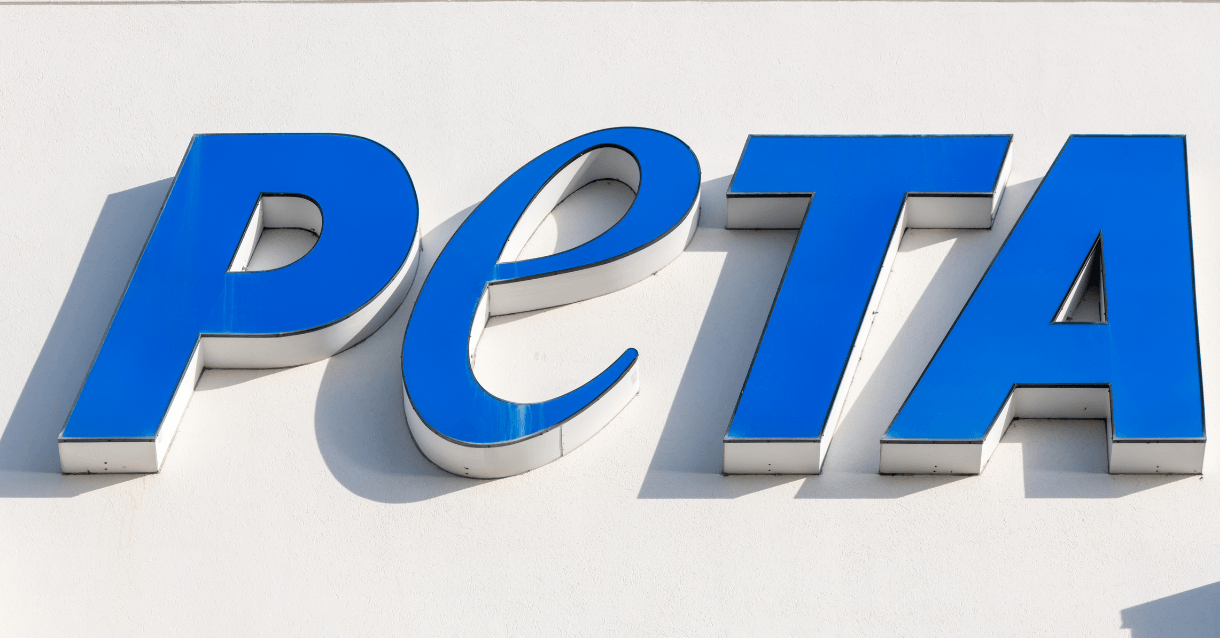 PamelaAndersonsVoyage5