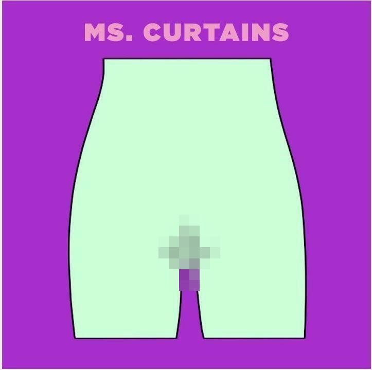 Vaginas2 blurred tmp