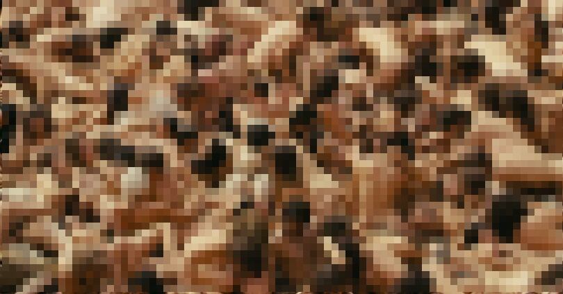 massive orgy perfume mr movie 1